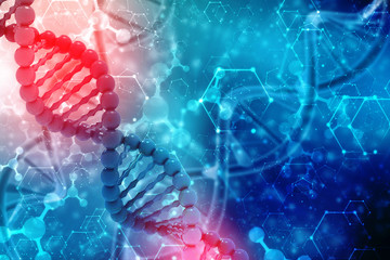 डीएनए का विनियमन, एपोप्टोसिस, समसूत्रण और प्रतिकृति