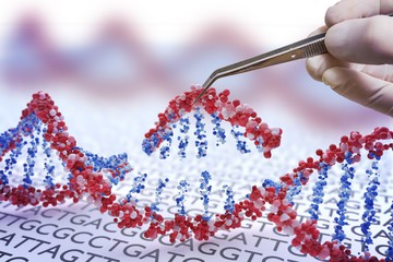 Генные мутации и механизмы репарации клеток человека