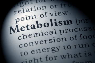 Metabolismo del triacilglicerolo