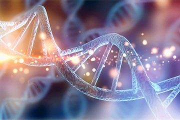 همانندسازی و رونویسی DNA